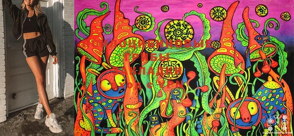 mix Новозыбков