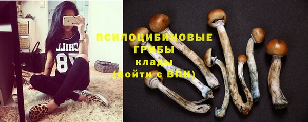 ешки Нея