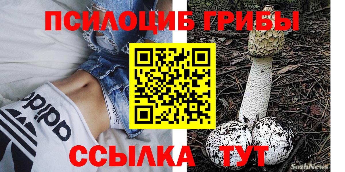Псилоцибиновые грибы ЛСД  Вход с VPN  Подольск 